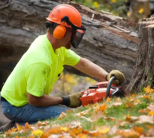 tree services Monson Center